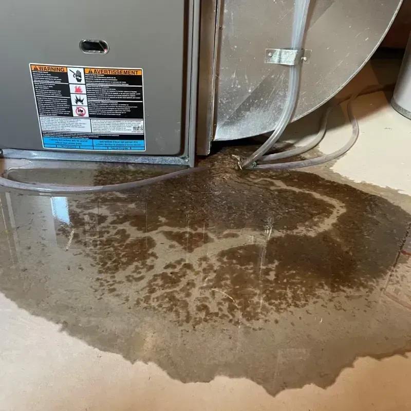 Appliance Leak Cleanup in Kadoka, SD